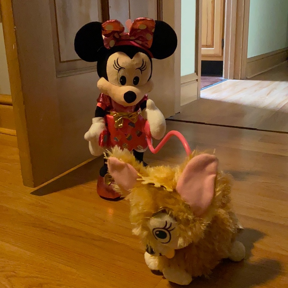 Minnie Mouse party and Pup